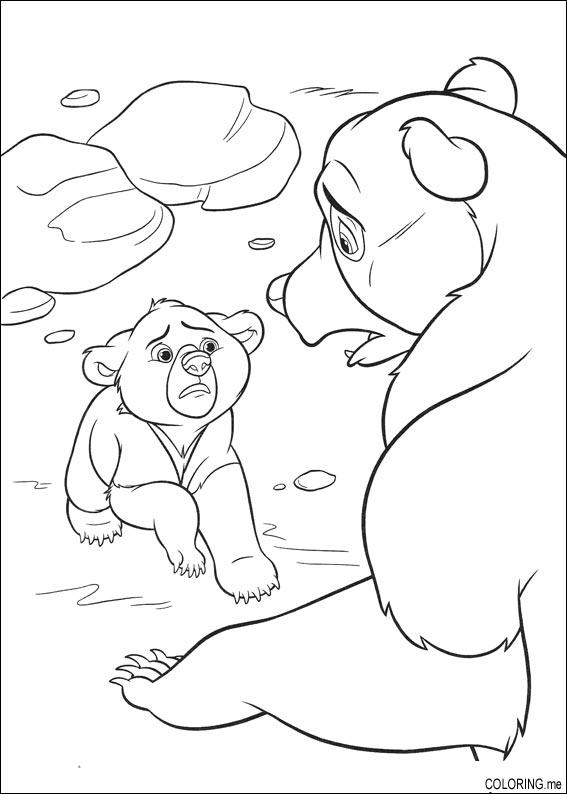 father bear coloring page little bear