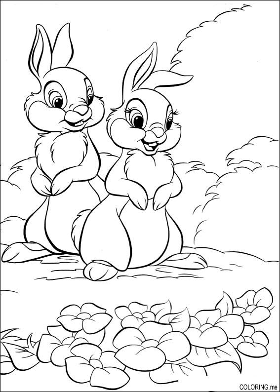 Coloring page : Bunnies and frog - Coloring.me